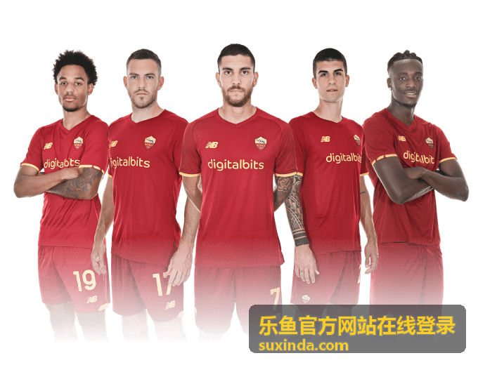乐鱼官方网站在线登录的平台体验攻略